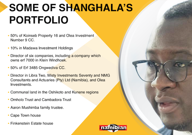 Fishrot Shangalas portfolio