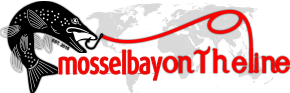 Mosselbayontheline Logo