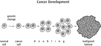 cancer1 3