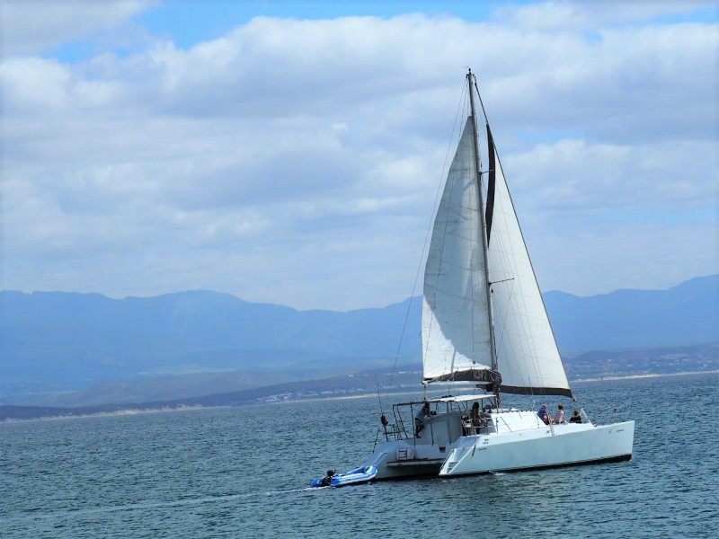 Sailing Kiyana3 2