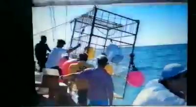 Shark Cage diving video Jimmy Eksteen Moment8 Moment